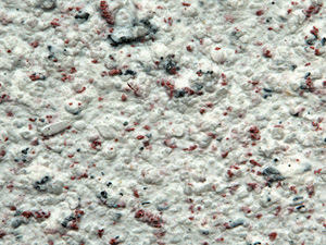 GALVI: Innovative paint to fight coronavirus – new publication in Scientific Reports