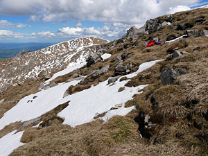 Nivicolous myxomycetes in a changing environment – a new international research project
